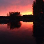 FB_IMG_1560793875416