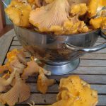 IMG_20160828_184622-1